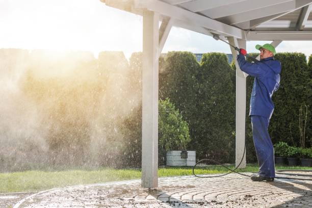 Best Roof Cleaning and Mildew Removal in Ridgewood, NJ